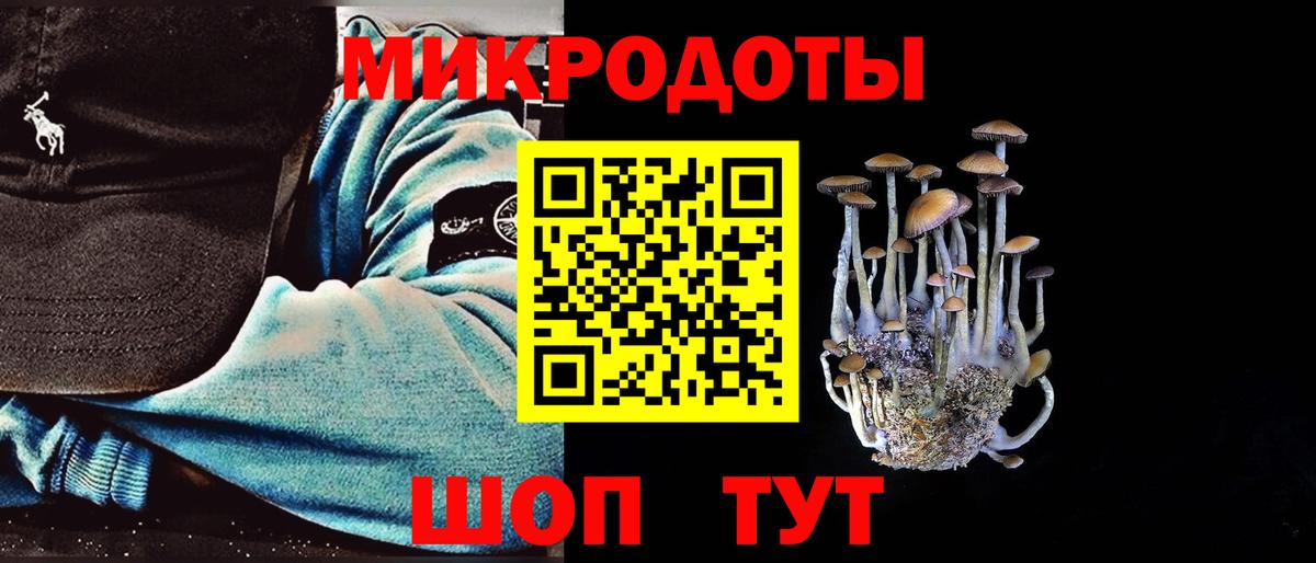 Орск  Галлюциногенные грибы прущие грибы  Вход с VPN 